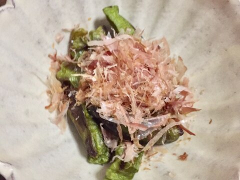 ししとうを料理に使うときの注意点 1 虫 2 辛いヤツ フリーランス兼業主夫日記